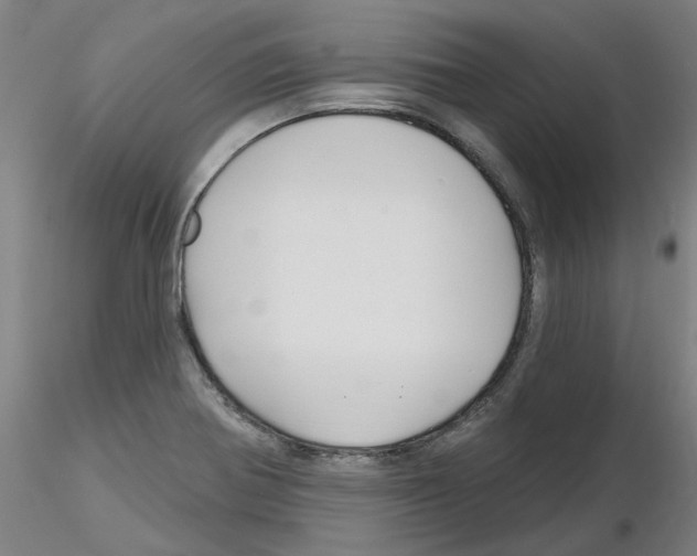 X0000116161370201001041105