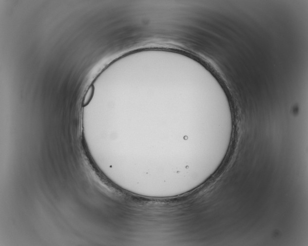 X0000116161371201001041105