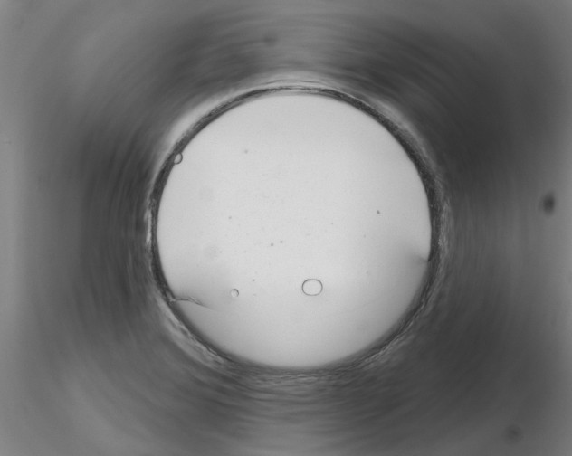 X0000116161372201001041105