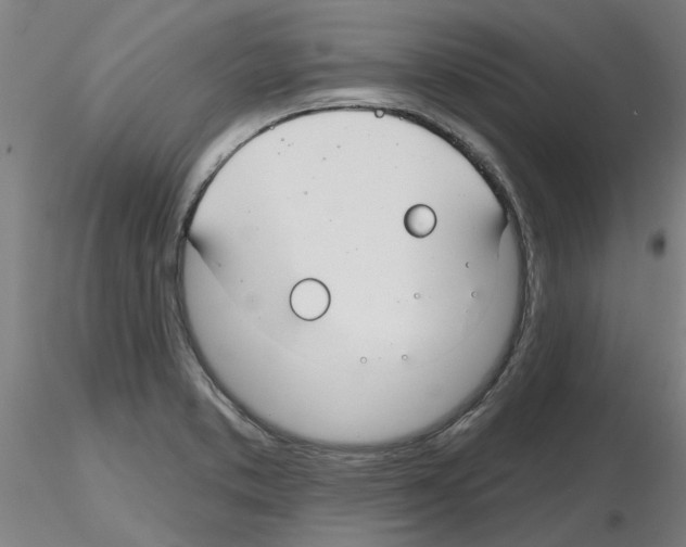X0000116161373201001041105