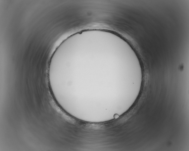 X0000116161374201001041105