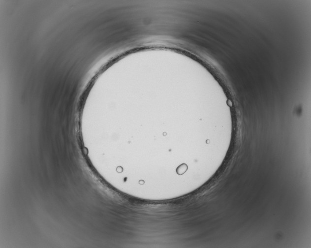 X0000116161376201001041105