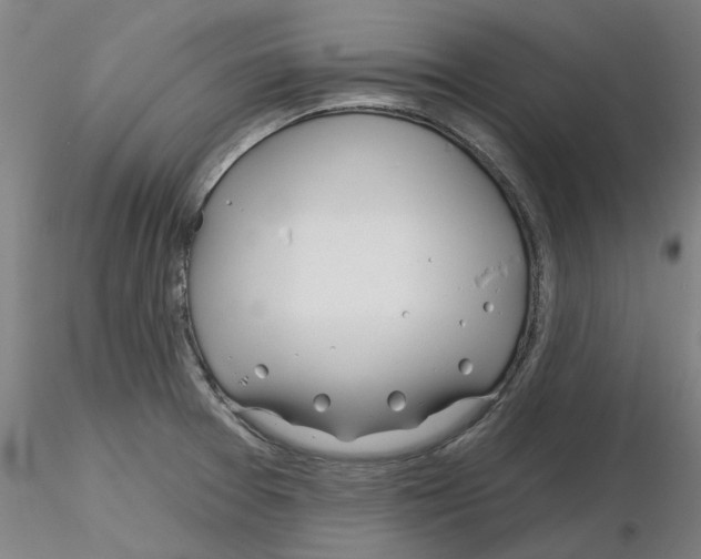 X0000116161377201001041105