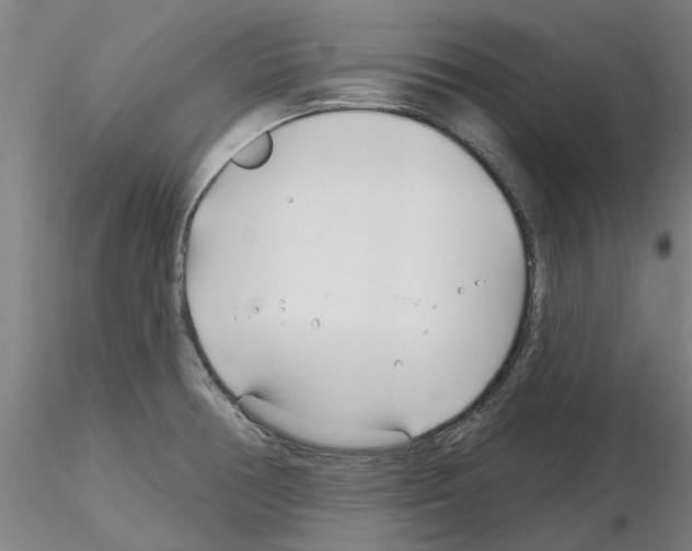 X0000116161378201001041105