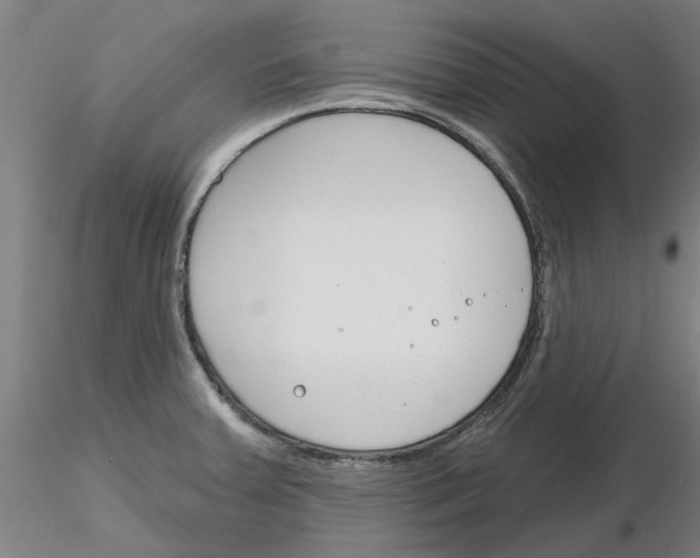 X0000116161379201001041105
