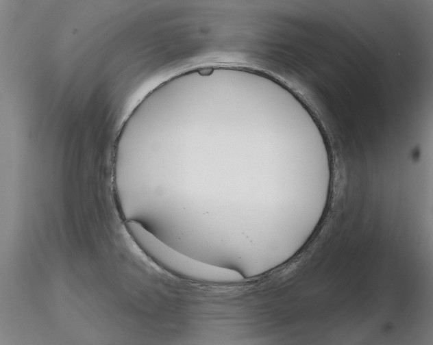 X0000116161382201001041105