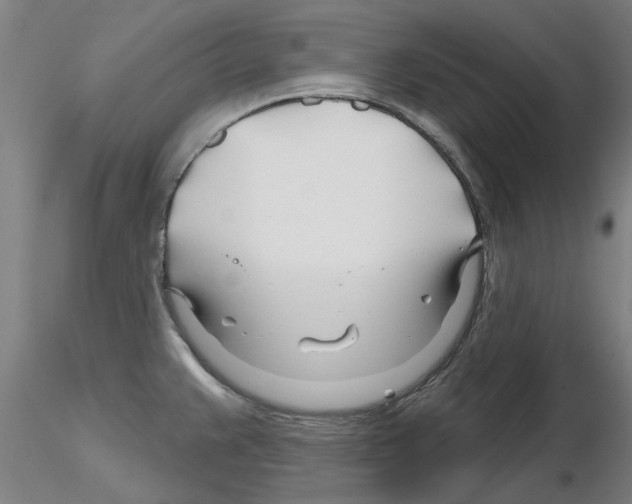 X0000116161383201001041105