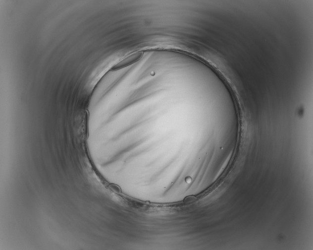X0000116161385201001041105