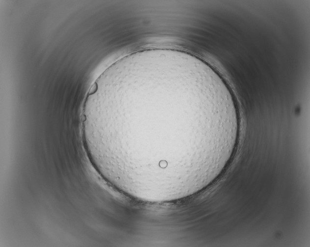 X0000116161386201001041105