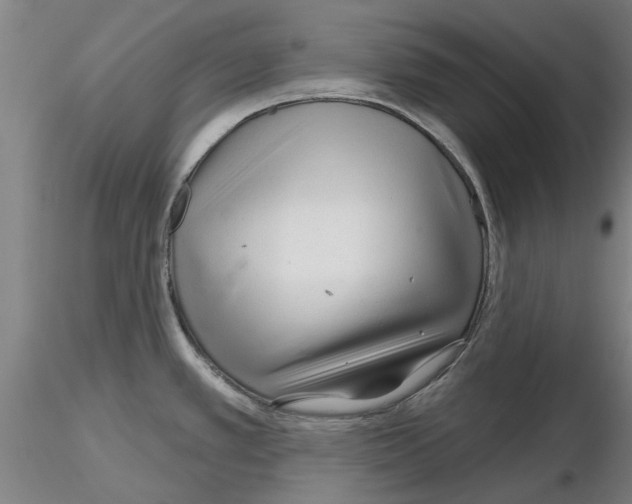 X0000116161389201001041105