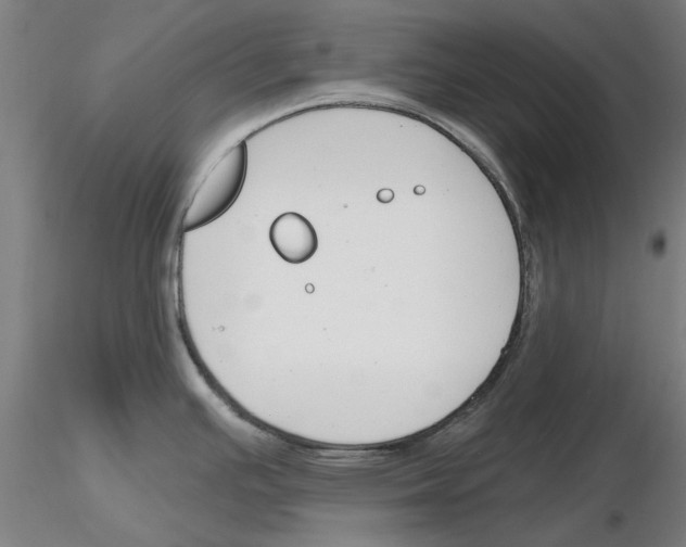 X0000116161391201001041105