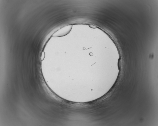 X0000116161392201001041105