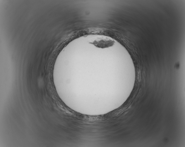 X0000116161393201001041104