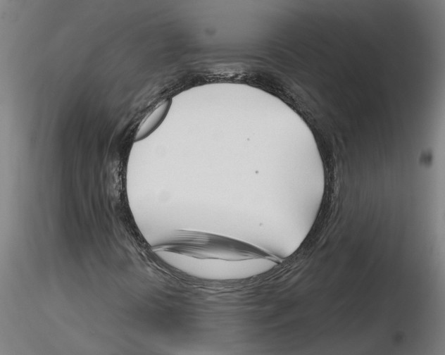 X0000116161394201001041104