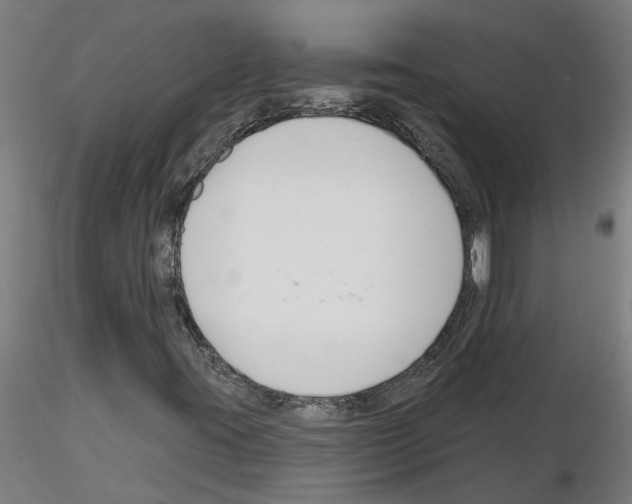 X0000116161395201001041104
