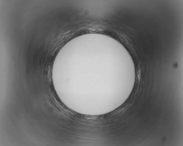 X0000116161396201001041104