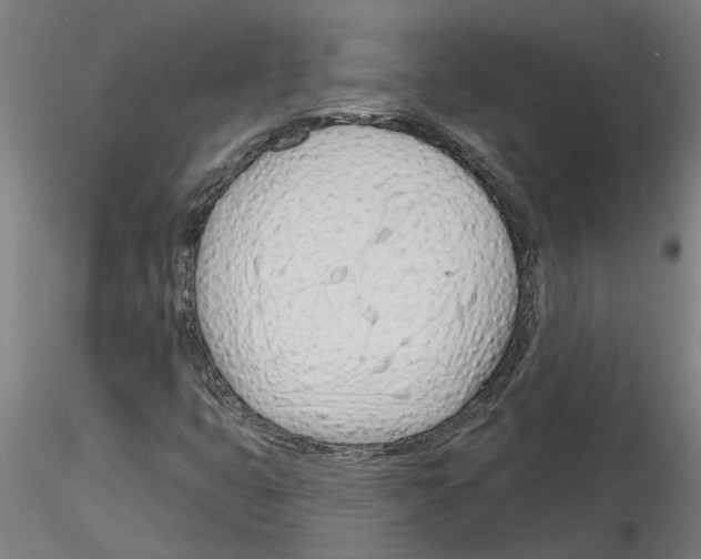 X0000116161399201001041104