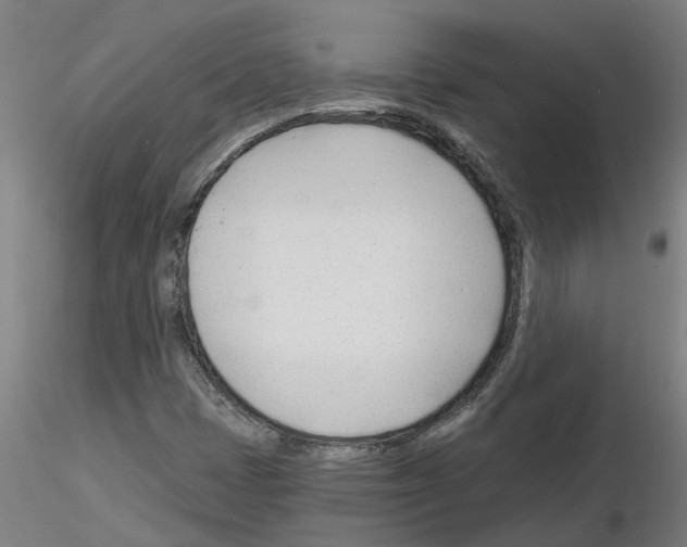 X0000116161401201001041104