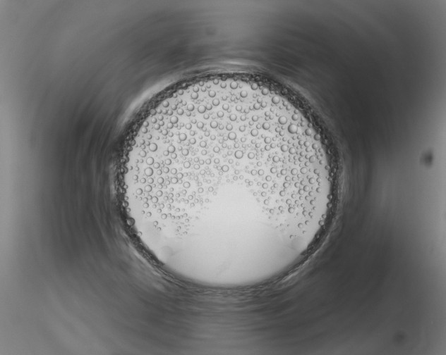 X0000116161402201001041104