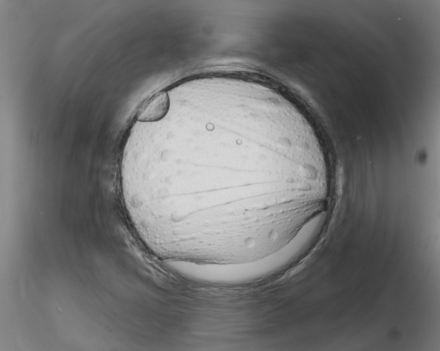 X0000116161405201001041104
