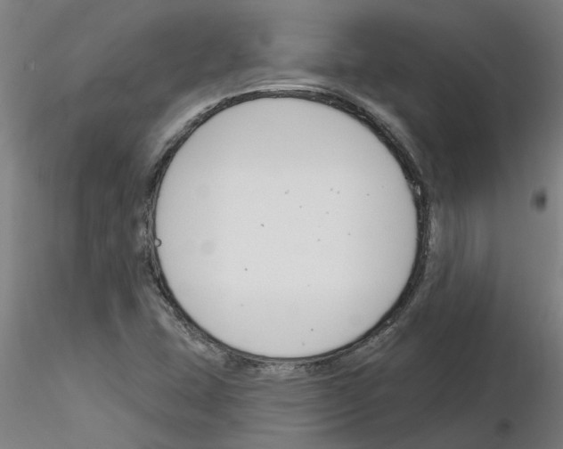 X0000116161407201001041104