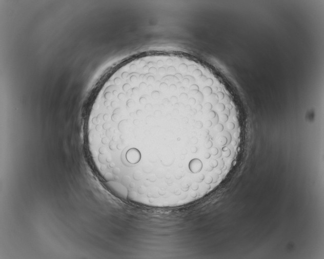 X0000116161408201001041104