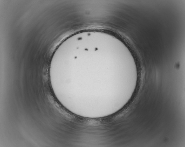 X0000116161409201001041104