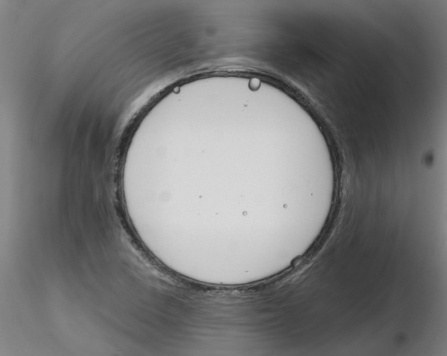 X0000116161410201001041105