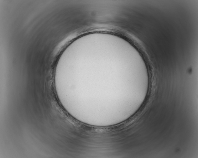 X0000116161411201001041105