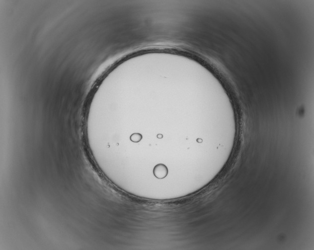X0000116161412201001041105