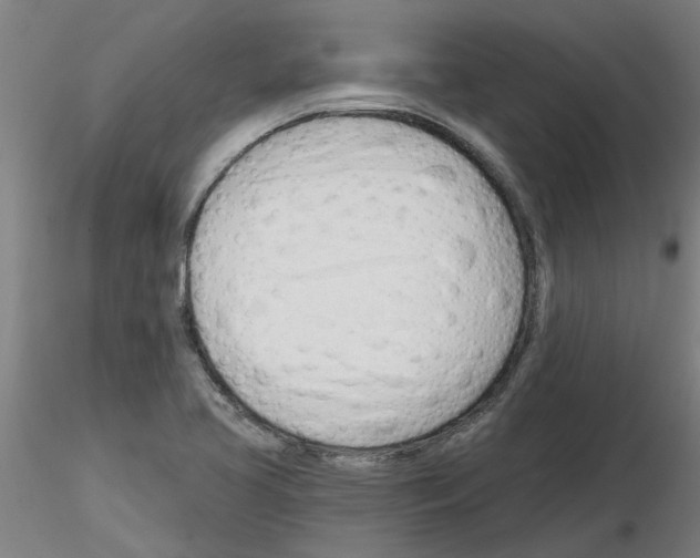 X0000116161413201001041105