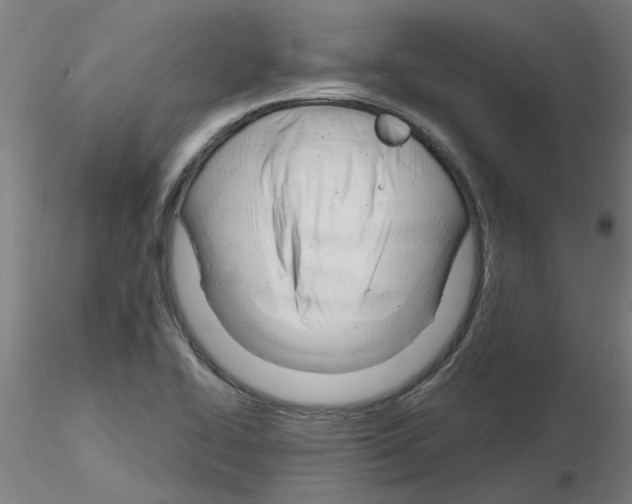 X0000116161414201001041105