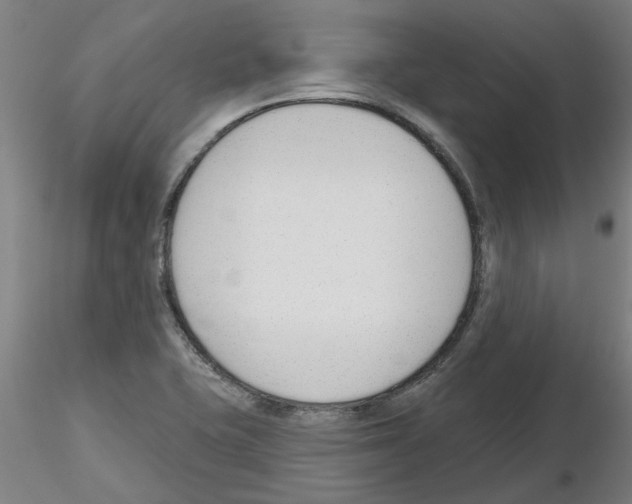 X0000116161415201001041105