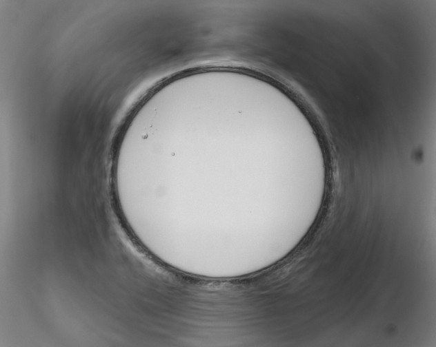 X0000116161416201001041105