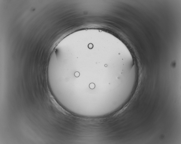X0000116161417201001041105