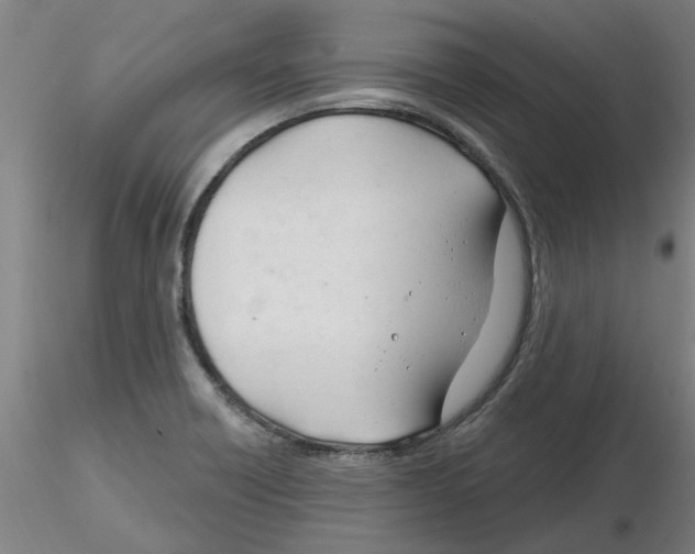 X0000116161418201001041105