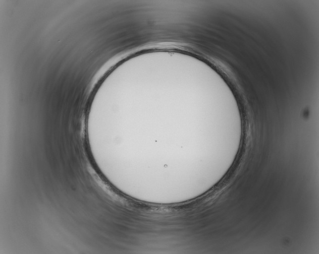 X0000116161420201001041105
