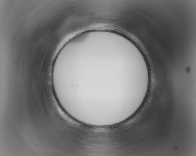 X0000116161421201001041105