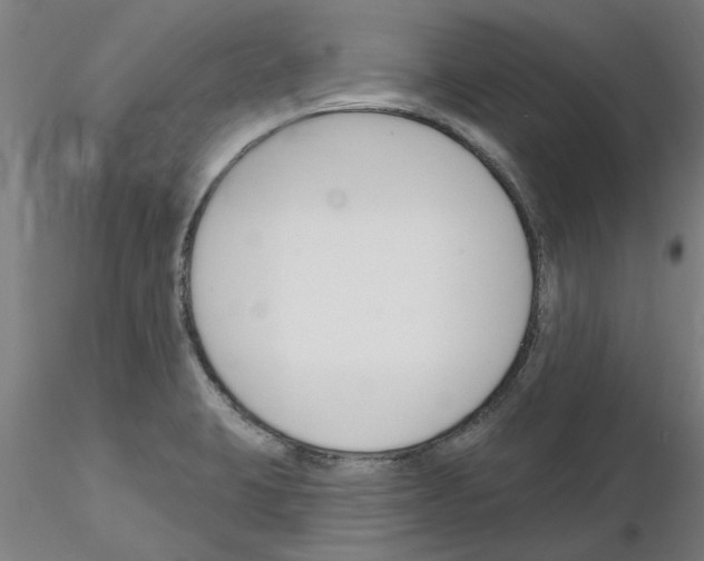 X0000116161423201001041105