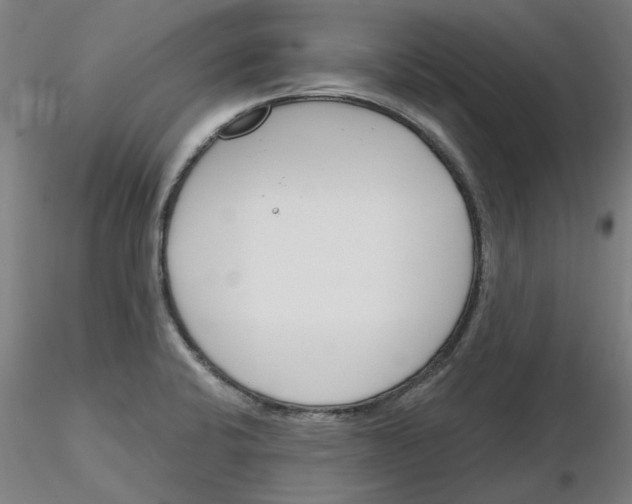 X0000116161424201001041105