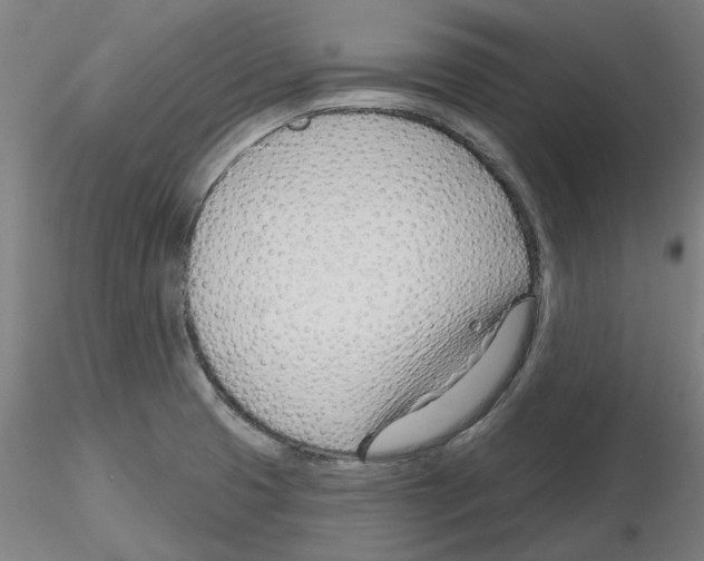 X0000116161425201001041105