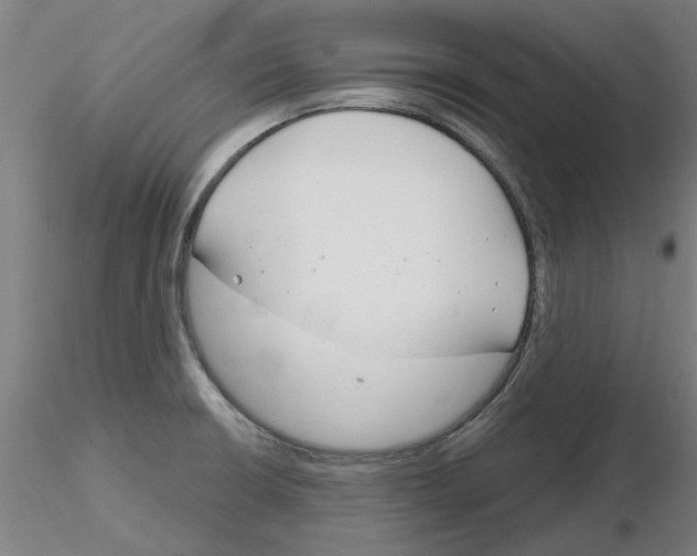 X0000116161426201001041105