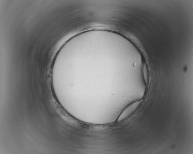 X0000116161427201001041105
