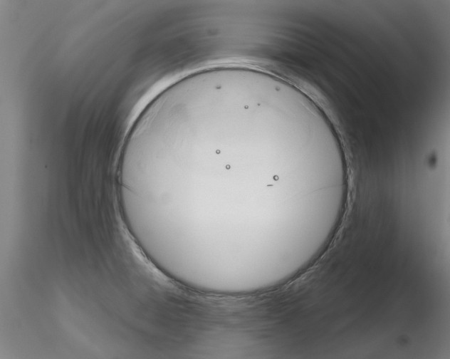 X0000116161428201001041105