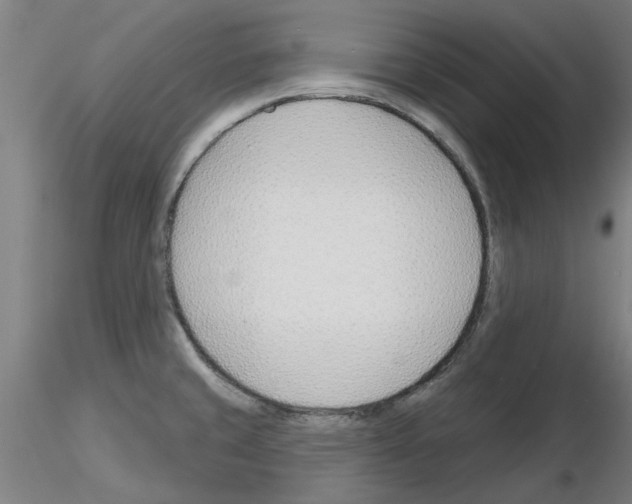 X0000116161429201001041105