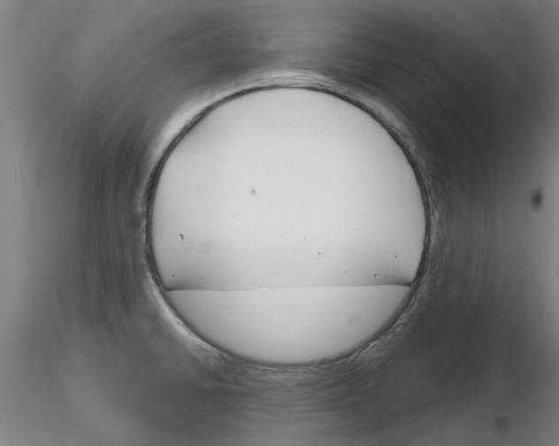 X0000116161430201001041105