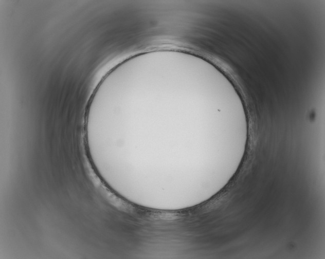 X0000116161431201001041105