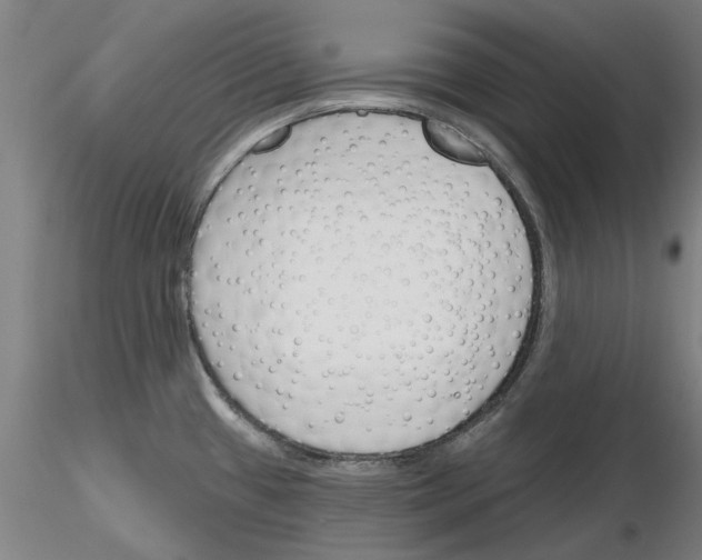 X0000116161433201001041105