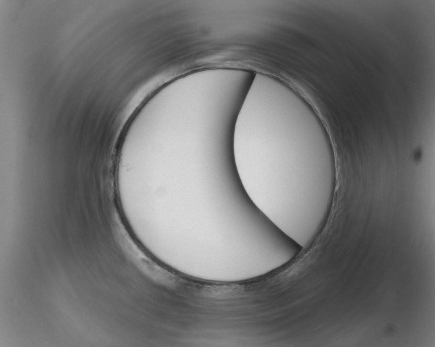 X0000116161434201001041105