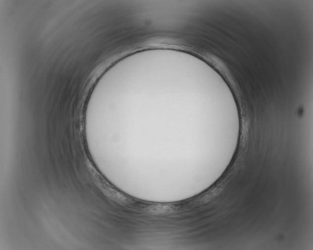 X0000116161435201001041105